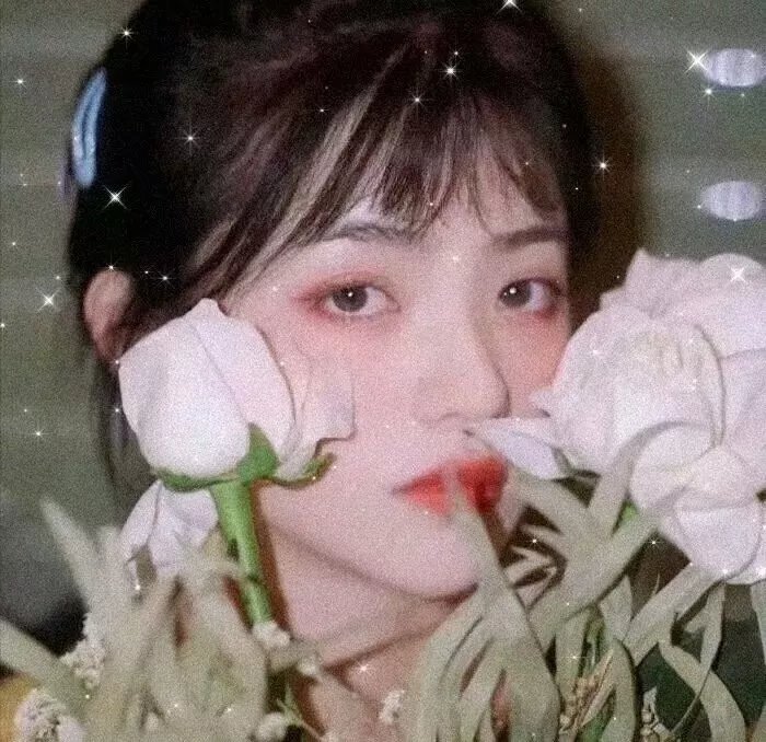 复仇的未亡人